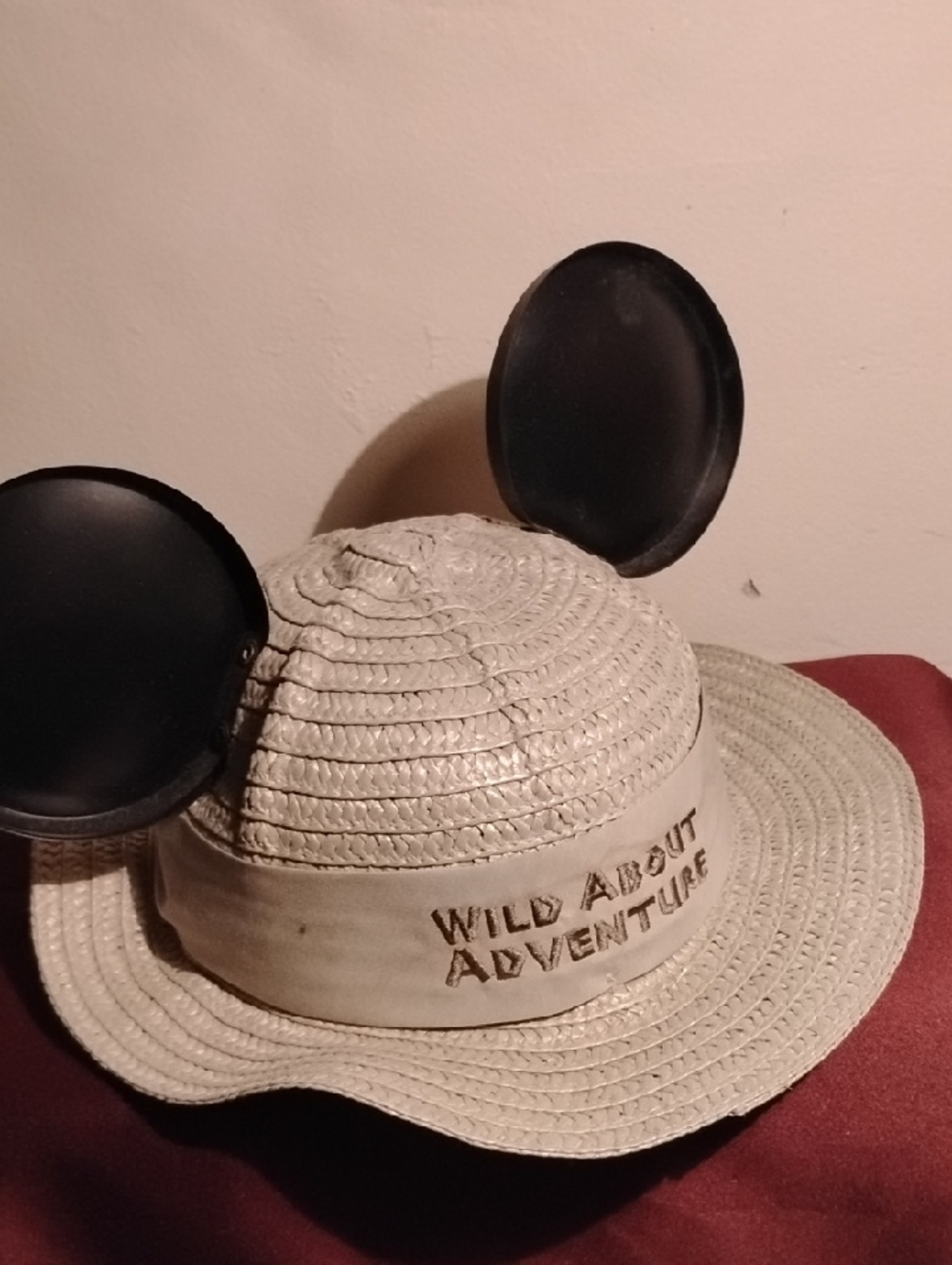 Disney Inspired Kids Jungle Exploration Hat .